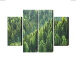 Mehrteiliges Bild Das Grün Des Waldes