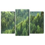 Leinwand