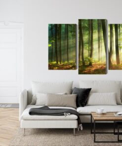 Mehrteiliges Bild Die Sonnenstrahlen Im Wald
