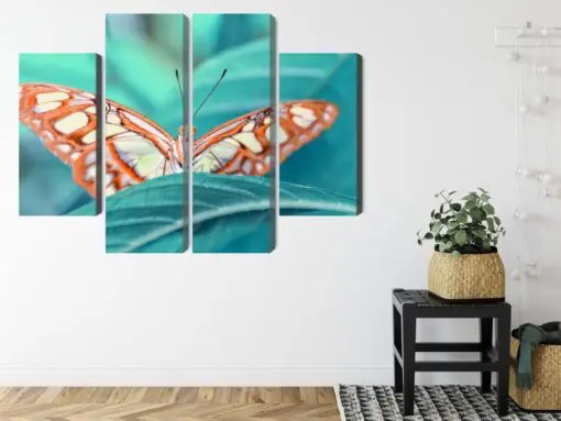 Mehrteiliges Bild Ein Schmetterling Auf Einem Blatt Im Makromaßstab