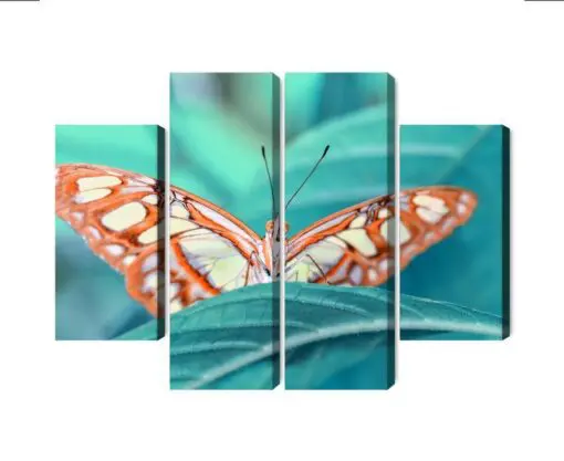 Mehrteiliges Bild Ein Schmetterling Auf Einem Blatt Im Makromaßstab