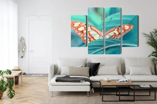Mehrteiliges Bild Ein Schmetterling Auf Einem Blatt Im Makromaßstab