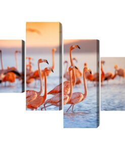 Mehrteiliges Bild Ein Schwarm Flamingos Am Wasser