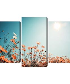 Mehrteiliges Bild Feldblumen In Der Sonne