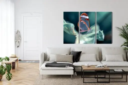 Mehrteiliges Bild Glasflügeliger Schmetterling Aus Nächster Nähe