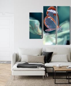 Mehrteiliges Bild Glasflügeliger Schmetterling Aus Nächster Nähe