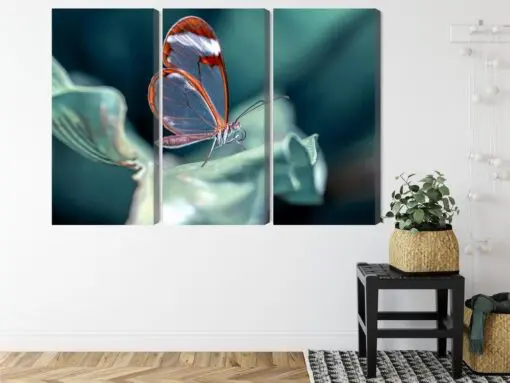 Mehrteiliges Bild Glasflügeliger Schmetterling Aus Nächster Nähe