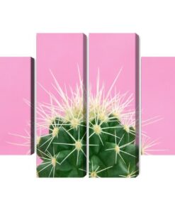 Mehrteiliges Bild Kaktus Auf Einem Rosa Hintergrund