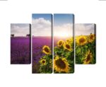 Mehrteiliges Bild Lavendel- Und Sonnenblumenfelder 3D