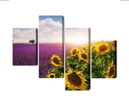 Mehrteiliges Bild Lavendel- Und Sonnenblumenfelder 3D