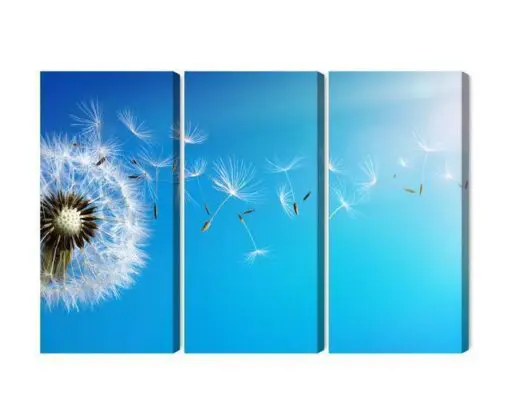 Mehrteiliges Bild Löwenzahn Mit Fliegenden Samen