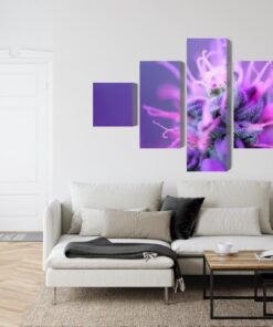 Mehrteiliges Bild Makropflanze Auf Einem Rosa-Violetten Hintergrund