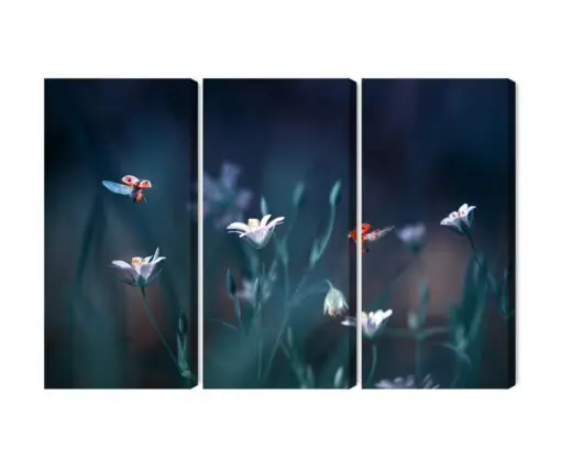 Mehrteiliges Bild Marienkäfer Und Wildblumen Im Makromaßstab