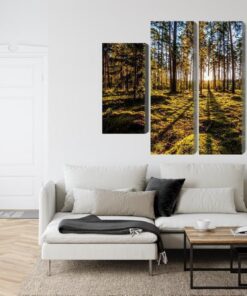 Mehrteiliges Bild Morgensonne Strahlt Im Wald