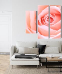 Mehrteiliges Bild Pastellrose Auf Einer 3D-Makroskala