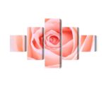 Mehrteiliges Bild Pastellrose Auf Einer 3D-Makroskala