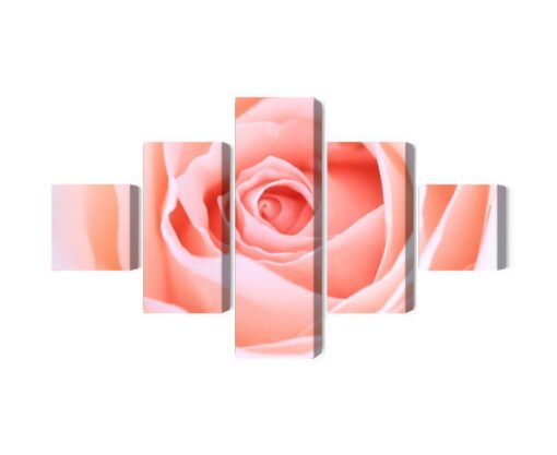 Mehrteiliges Bild Pastellrose Auf Einer 3D-Makroskala