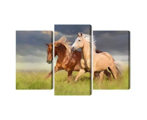 Mehrteiliges Bild Pferde Im Galopp Auf Einer 3D-Wiese