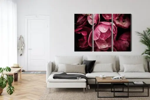Mehrteiliges Bild Pfingstrosenblumen Hautnah 3D