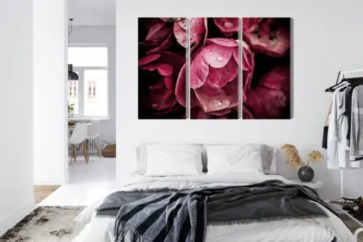 Mehrteiliges Bild Pfingstrosenblumen Hautnah 3D