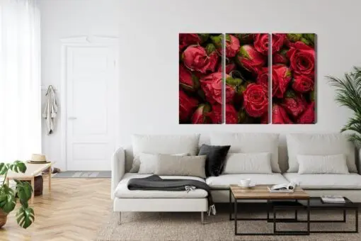 Mehrteiliges Bild Rosen Mit Wassertropfen