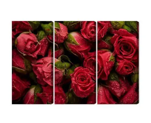 Mehrteiliges Bild Rosen Mit Wassertropfen