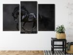 Mehrteiliges Bild Schwarzes Pferd Im Galopp