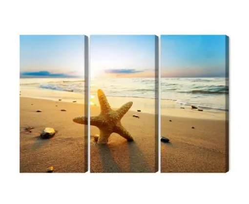 Mehrteiliges Bild Seestern Am Strand 3D