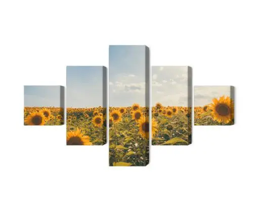 Mehrteiliges Bild Sonnenblumenfeld An Einem Sommertag 3D