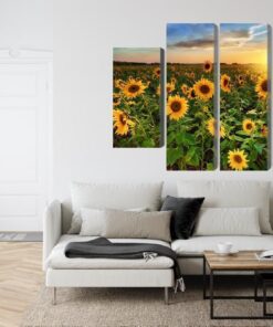 Mehrteiliges Bild Sonnenblumenfeld Bei Sonnenuntergang 3D