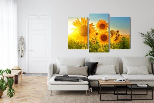 Mehrteiliges Bild Sonnenblumenfeld Bei Sonnenuntergang 3D