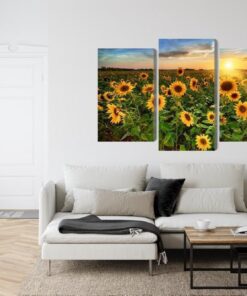 Mehrteiliges Bild Sonnenblumenfeld Bei Sonnenuntergang 3D