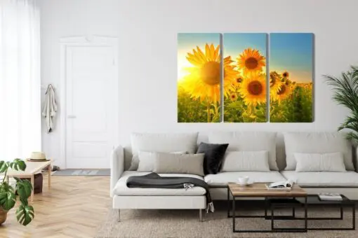 Mehrteiliges Bild Sonnenblumenfeld Bei Sonnenuntergang 3D