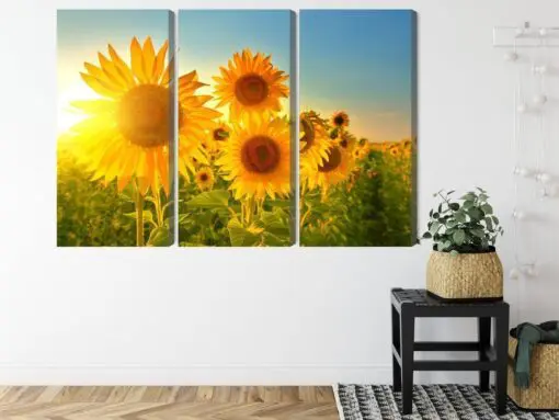 Mehrteiliges Bild Sonnenblumenfeld Bei Sonnenuntergang 3D