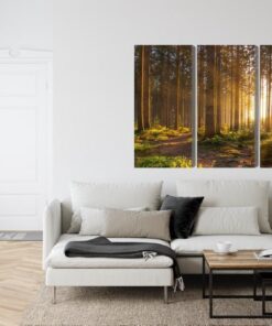 Mehrteiliges Bild Sonnenuntergang Im Wald