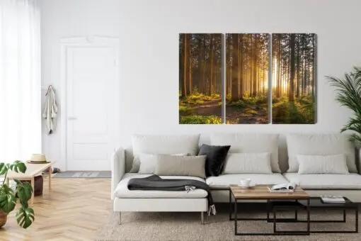 Mehrteiliges Bild Sonnenuntergang Im Wald