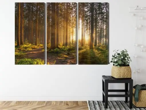 Mehrteiliges Bild Sonnenuntergang Im Wald