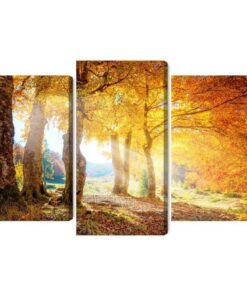 Mehrteiliges Bild Sonniger Herbstwald