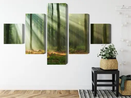 Mehrteiliges Bild Waldlandschaft Am Morgen