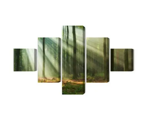 Mehrteiliges Bild Waldlandschaft Am Morgen