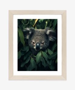 Poster Koala Sitzt In Den Blättern