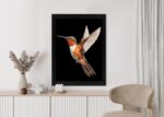 Poster Kolibri Im Flug