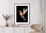 Poster Kolibri Im Flug