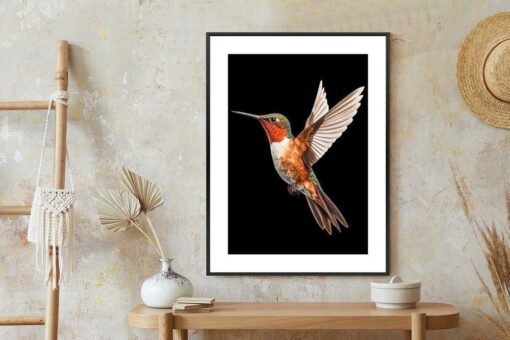 Poster Kolibri Im Flug