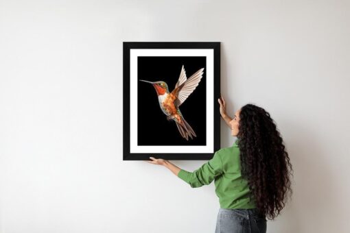 Poster Kolibri Im Flug