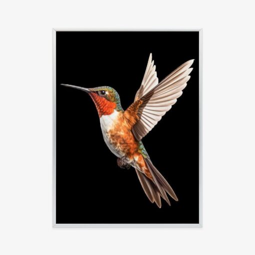 Poster Kolibri Im Flug