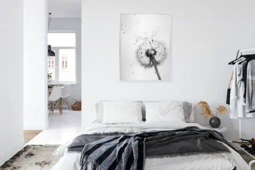 Poster Löwenzahn Und Seine Samen