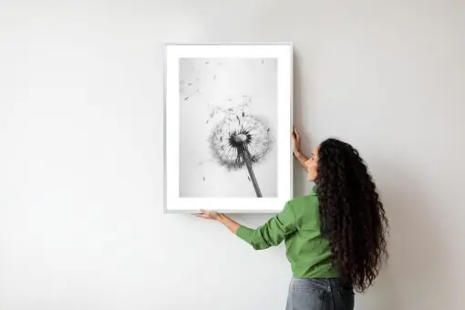 Poster Löwenzahn Und Seine Samen