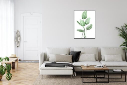 Poster Weiße Strelitzie Rahmen Aluminium Farbe Schwarz