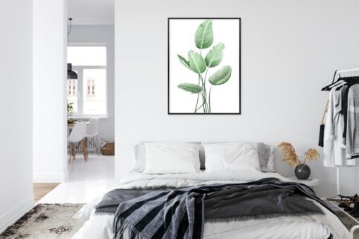 Poster Weiße Strelitzie Rahmen Aluminium Farbe Schwarz